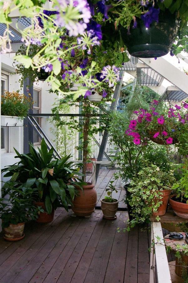 Loft de Cannes B&B Extérieur photo